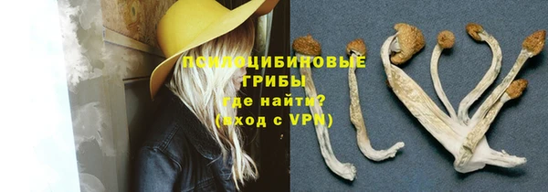 дживик Абаза