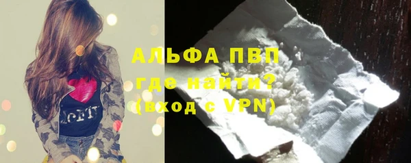 дживик Абаза