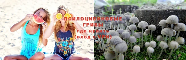 дживик Абаза