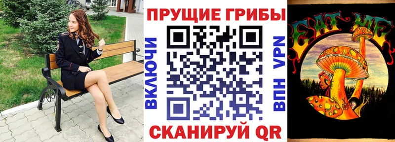 наркота  Аксай  ОМГ ОМГ вход  Галлюциногенные грибы MAGIC MUSHROOMS 